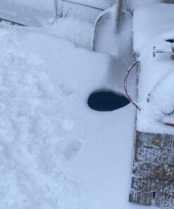 Farm Innovators P-60 1.5 Gallon 60 Watt Electric Powered Heated Pet Water Bowl with Thermostatic Control and Anti Chew Cord, Green Single 24 616DJGpS4wL