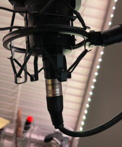 Amazon Basics XLR Microphone Cable for Speaker or PA System, All Copper Conductors, 6MM PVC Jacket, 6 Foot, Black 1-Pack 6 Feet 28 616IC821TUL