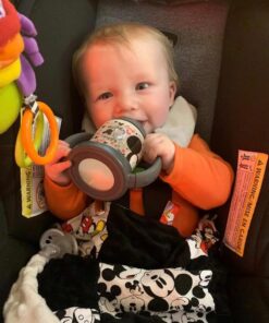 NUK Disney Learner Sippy Cup, Mickey Mouse, 5 Oz 1Pack 1 Pack 39 616K8Z8gaLL