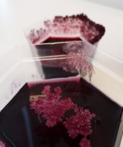 4M 7 Crystal Growing Science Experimental Kit with Display Cases - Easy DIY STEM Toy Lab Experiment Specimens, Educational Gift for Kids, Teens, Boys & Girls 7 Crystals 69 616Om9UohRL 1