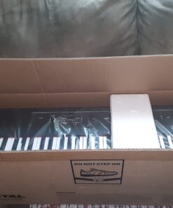 Alesis Recital – 88 Key Digital Piano Keyboard with Semi Weighted Keys, 2x20W Speakers, 5 Voices, Split, Layer and Lesson Mode, FX and Piano Lessons Piano Only 45 616S2l04jPL
