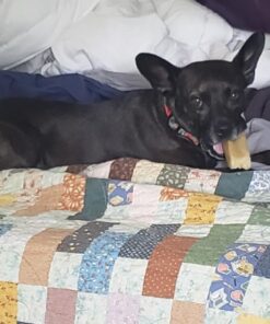 Himalayan Dog Chew Original Yak Cheese Dog Chews, 100% Natural, Long Lasting, Gluten Free, Healthy & Safe Dog Treats, Lactose & Grain Free, Protein Rich, Mixed Sizes, Dogs 65 Lbs & Smaller Yak Cheese - 3 sticks 3 Count (Pack of 1) 45 616SjW5BnL