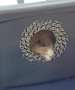 Standlee Hay Company Wheat or Barley Chopped Straw for Animal Bedding 16 616TFAwU1rL