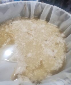 Southern Boy stills 2298543 10 lb. Moonshiners Blend 80% Cracked Corn, 10% RYE, 10% Barley by Detwiler Native Seed 5 616XqVCQefL