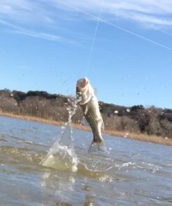 KastKing 327yds-30lb-0.25mm X4-Low-Vis Gray 45 616c7SBluFL