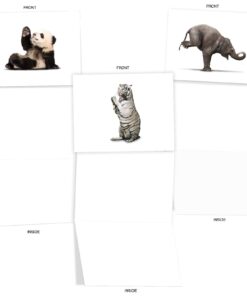 The Best Card Company - 10 Blank Yoga Note Cards (4x 5.12 Inch) - Boxed Notecards with Envelopes, Cute Animal Cards, Zen Assortment - Zoo Yoga M6547OCB 10 616hbeteT4L