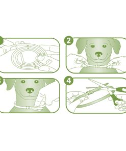 Natural Care Repellent Flea & Tick Collar for Dogs & Puppies, 4 Month Protection, White 15 616kyKFNVnL