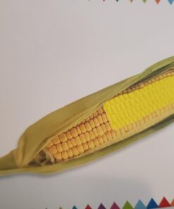 My First Touch and Feel Language Picture Cards: First Words (My First Board Books) 42 616megoLCyL 1