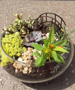 M.V. Trading Happy Laughing Figurine Buddha Statue, Set of 6, 2 Inches, Bonze Bronze 10 616oXUkHvkL