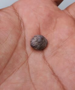 Dr. Scholl's Dual Action Freeze Away WART Remover, 8 Applications // Freeze Therapy + Powerful Fast Acting Salicylic Liquid to Remove Common and Plantar Warts, 0.33 Fl Oz, 1 Count 55 616stKJD35L