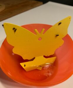 Trappify Sticky Gnat Traps for House Indoor - Yellow Fruit Fly Traps for Indoors/Outdoor Plant - Insect Catcher White Flies, Mosquitos, Fungus Gnat Trap, Flying Insects - Disposable Glue Trapper (12) 12 46 616ttdEs1fL