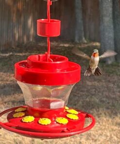 First Nature 993091-546 16 oz. Hummingbird Flower Feeder 22 616w0YsUl6L