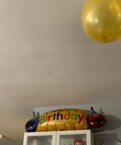 Elmo and Friends 2nd Birthday Supplies Decorations Balloon kit 26 617 gtPYkmL