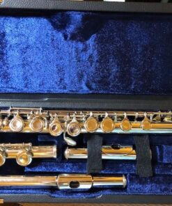 Sky C Flute with Lightweight Case, Cleaning Rod, Cloth, Joint Grease and Screw Driver - Curved Silver 13 6177kIFVEJL