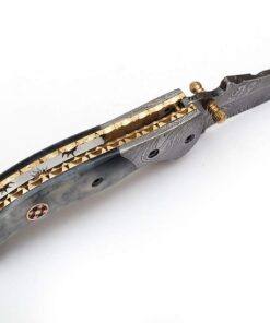 SHINY CRAFTS Handmade Damascus Pocket knife, Folding knife with liner lock, Camping Knife, Hunting knife with Premium Leather Sheath (FK-00) FK 00 14 617GjGJsHFL
