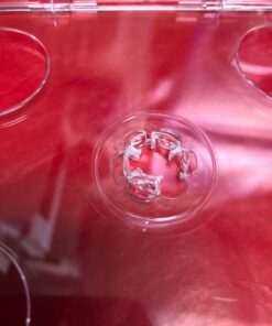 Alternative view of Jesse Stone - The Ultimate Collection Jeff Beal Jesse Stone: The Ultimate Collection (Music From The Original Television Movies)