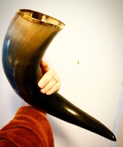 AleHorn Viking Horn Mug with Stand | Viking Drinking Horn Mug, Viking Cup | Handcrafted Tankard Mug, Viking Beer Mug | Viking Drinking Cup | Viking Mugs | Horn Cup - Viking Mug | Polished 20 oz XL - 20oz 32 617JI32WSeL