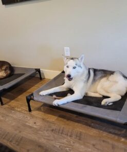 Benebone Wishbone Durable Dog Chew Toy for Aggressive Chewers, Real Bacon, Made in USA, Medium 32 617Jul3UPuL