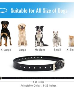 Petrainer Training Collar for Dogs - Waterproof Rechargeable Dog Training E-Collar with 3 Safe Correction Remote Training Modes, Static, Vibration, Beep for Dogs Small, Medium, Large 30 617KNlesK6L