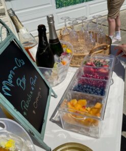 Oaklyn Large Clear Condiment Server Organizer on Ice with Containers and Lid – BPA-Free Serving Bar Compartments and Plastic Box Tray – Chilled Caddy Dispenser Set - Holds 80 oz Total 34 617L1YktL