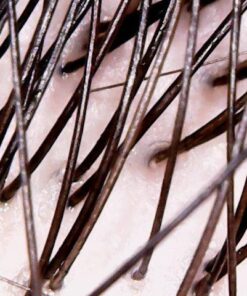 Natrol Biotin Beauty Tablets Promotes Healthy Hair Skin and Nails Helps Support Energy Metabolism Helps Convert Food Into Energy Maximum Strength 10000mcg, Multi, 200 Count 38 617LAJAe GL