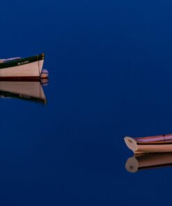 Nikon D750 w/ 24-120mm Lens 55 617XN6RNGqL