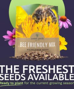Bee Friendly Wildflower Seed Mix - Bulk 1 Ounce Packet - Over 7,500 Open Pollinated Seeds - Save The Bees! 1 Ounce Pouch 29 617YouWLvL
