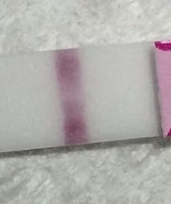 MomMed Ovulation Test Kit (HCG15-LH40), 15 Pregnancy & 40 Ovulation Test Strips with 55 Urine Cups Reliable & Quick Early Pregnancy Test 55 Count (Pack of 1) 33 617cosvv1gL