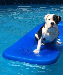 TRC Recreation Sunsation 1.75 Inch Thick Foam Lounger Water Floating Swimming Pool Raft with Roll Pillow for Head and Neck Support, Bahama Blue 37 617dZgyUvoL