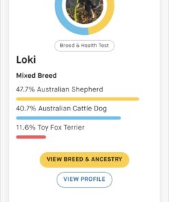 Embark Breed & Health Kit - Dog DNA Test - Discover Breed, Ancestry, Relative Finder, Genetic Health, Traits, COI 1 Count (Pack of 1) 51 617lAy8GoaL 3