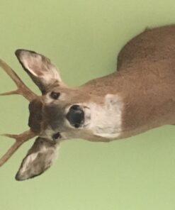 Alternative view of The Total Deer Hunter Manual (Field & Stream): 301 Hunting Skills You Need