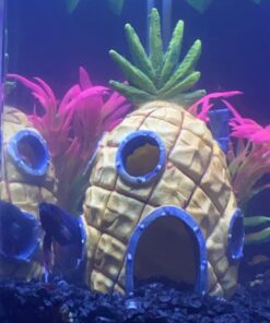 Penn-Plax Spongebob Squarepants Officially Licensed Aquarium Ornament – Spongebob’s Pineapple House – Medium 5.25" Pineapple House 33 617rrkDGVXL