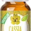 Healing Solutions 10ml Oils - Cassia Essential Oil - 0.33 Fluid Ounces Cinnamon 1 Fl Oz (Pack of 1) 53 617sSnukFTL