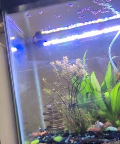 API LEAF ZONE Freshwater Aquarium Plant Fertilizer 18-Ounce Bottle White 16oz 39 617wxeMx8L 1