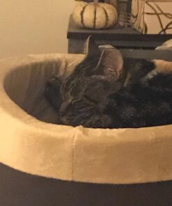 K&H Pet Products Thermo-Kitty Bed Heated Cat Bed Small 16 Inches Mocha/Tan 16.0"L x 16.0"W x 6.0"Th Retail Package 33 6184F24gH L