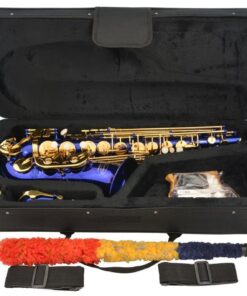 Lazarro Professional Royal Blue Body Gold Keys Eb E Flat Alto Saxophone with 11 Reeds, Case, Music Book and Many Extras, 360-BU 14 6186JN3Mz L