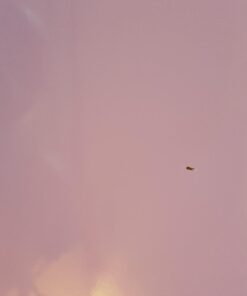 Vinyl Ease 30 Sheets 6" x 12" Assorted Colors Gloss Permanent Adhesive Vinyl for Cricut, Silhouette, Pazzles, Craft ROBO, QuicKutz, Craft Cutters, Die Cutters, Sign Plotters - V0001 56 6186wA9GLSL