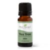 Plant Therapy Tea Tree Essential Oil 100% Pure, Undiluted, Natural Aromatherapy, Therapeutic Grade 10 mL (1/3 oz) 56 6187I2gHa8L