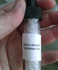 Tea Tree Essential Oil, 1 Fl Oz with Dropper - Undiluted Therapeutic Grade for Your Face, Skin, Hair and Diffuser - 100% Pure Melaleuca Oil for Acne, Toenails - by Pure Body Naturals 1 Fl Oz (Pack of 1) 52 6189cs8GM1L