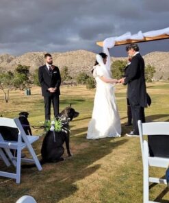 54" by 40 Yards (120 ft) Fabric Tulle Bolt for Wedding and Decoration (White) White 6 618BOMaoonL