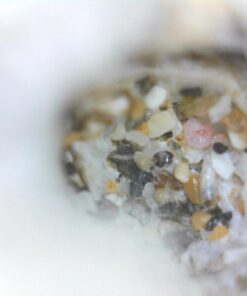 Opti-Tekscope Digital USB Microscope Camera- Advanced CMOS Sensor, True High Definition Macro 200x Zoom Imaging –1600 x 1200, Video, Superior Industrial Quality Base, 8 LED, Windows Mac Linux 53 618F6sMt5uL