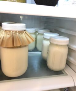 Fusion Teas 1 TBSP Organic Milk Kefir Grains and ebook “Milk Kefir Unleashed by Thomas Egbert” - Fresh Live Active Probiotic Starter Cultures 33 618FyXlyvxL