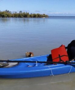 SeaSense Xtreme 1 Kayak Paddle, Black - Molded Plastic Blades, 2-Piece Aluminum Construction - Great for Recreational, Sport, Sea, Whitewater & Fishing Kayaking 84" 19 618MvbvoKL