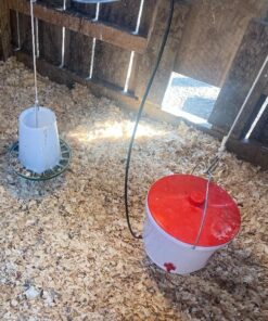 Farm Innovators HB-60P Thermostatically Controlled Heated 2 Gallon Plastic Outdoor Year Round Poultry Chicken Water Bucket Drinker, White/Red Single 22 618N9ZWxNgL