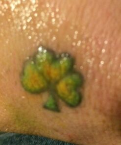 Dragonhawk Complete Tattoo Kit for Beginners 2 Pro Tattoo Machine Tattoo Power Supply Kit Tattoo Inks 20 Tattoo Needles Tips Tattoo Supplies Kit with Case 53 618NR0Bsa0L 1