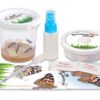 5 Live Caterpillars Shipped Now- Butterfly Kit Refill 25 618SyqW5RL