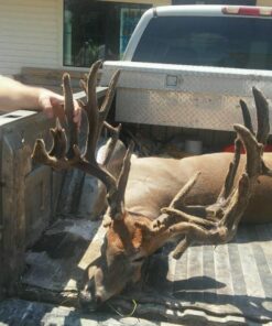 Conquest Scents Hunters Pack Vs-1 And Ever Calm Stick UNITS 11 618VhFVE6QL