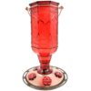 More Birds Red Jewel Hummingbird Feeder, Glass Hummingbird Feeders for Outdoors, 5 Feeding Stations, 20 Ounces Standard Packaging 26 618WOiCDF4L