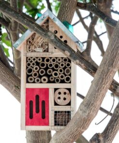 Niteangel Natural Wooden Insect Hotel, Garden Insect House for Ladybugs, lacewings, Butterfly, Bee, Bug 10 x 6 x 3.4 inch Red 32 618blanEEbL