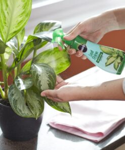 Miracle-Gro Leaf Shine, 8-Ounce Green 8 oz. 27 618cTegLOHL